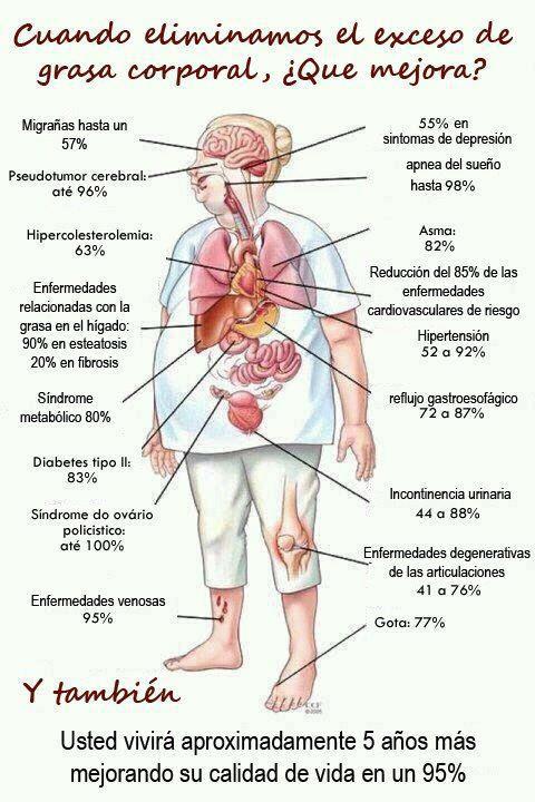 Del como cuerpo sacar la grasa